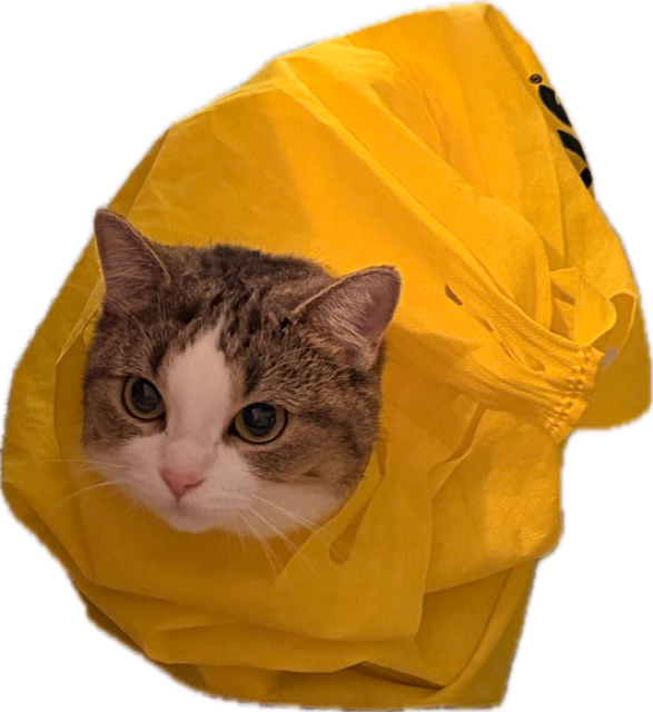 luna in a yellow bag